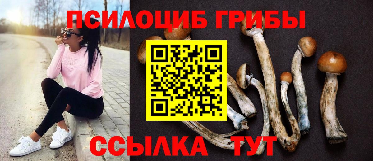 Галлюциногенные грибы мицелий  Вход с VPN  Калач-на-Дону  Галлюциногенные грибы GOLDEN TEACHER 
