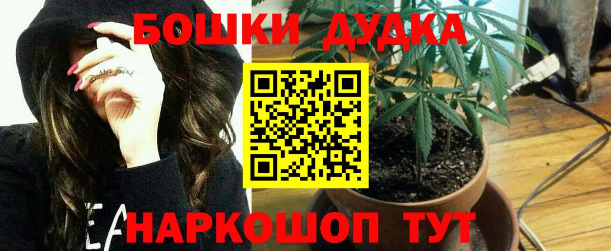 Шишки марихуана Amnesia Калач-на-Дону